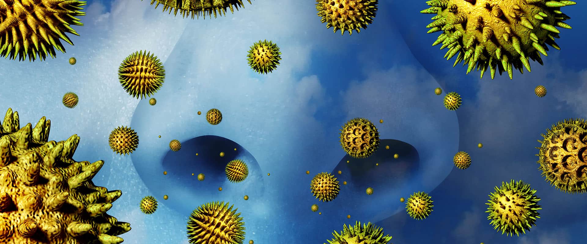 Гены пыльцы. Пыльца аллерген. Пыльца деревьев. Пыльцевые аллергены. Аллергены под микроскопом.